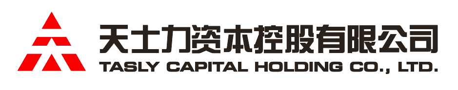 PP王者电子资本控股有限公司